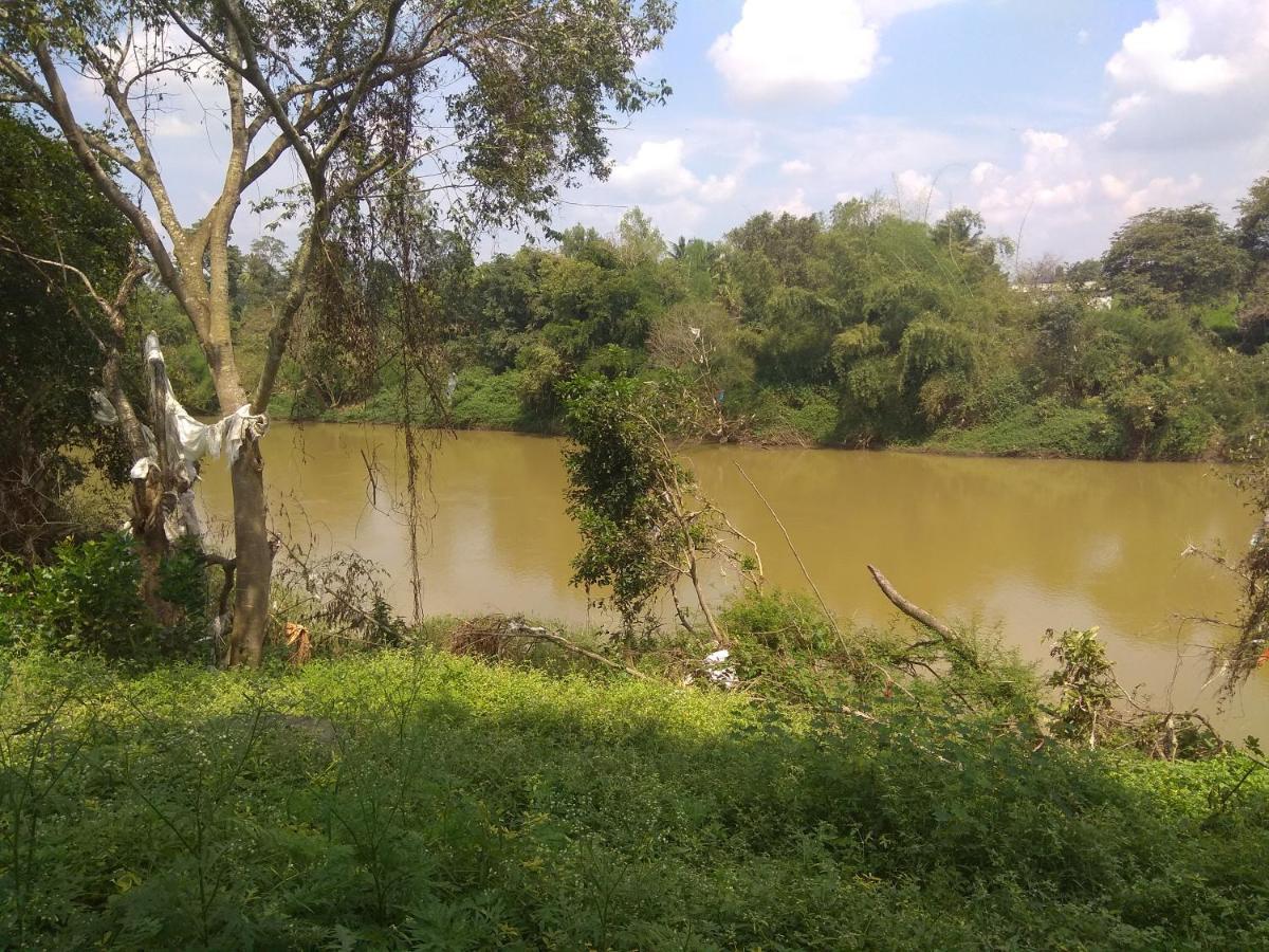 Dreams River View Homestay Coorg Kushalnagar Ngoại thất bức ảnh